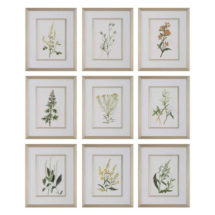 Uttermost Botanical Flowers Framed Prints, Set of 9 1
