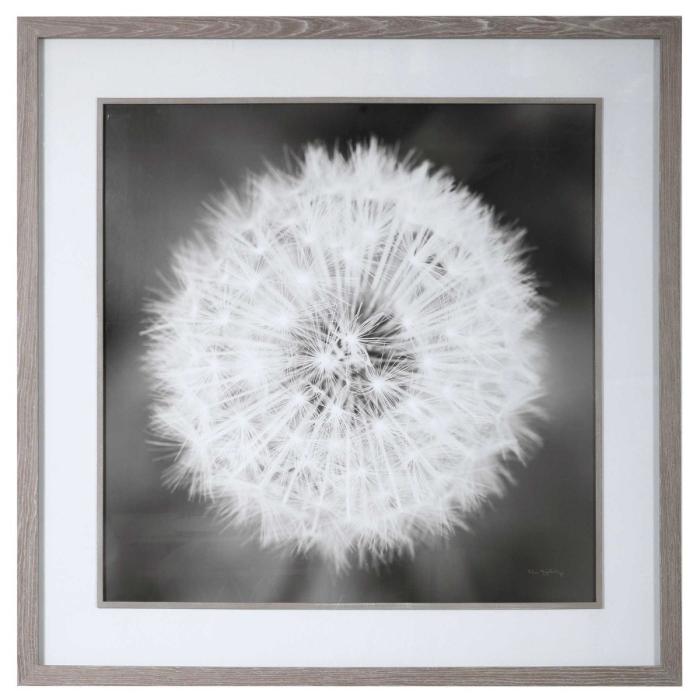 Uttermost  Dandelion Seedhead Framed Print 1