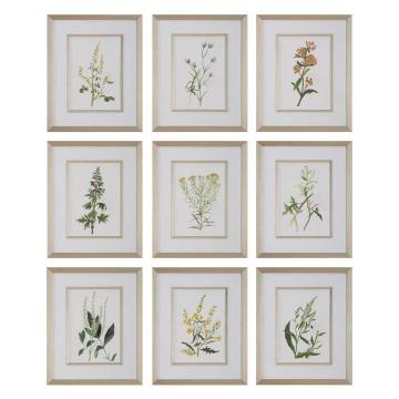 Botanical Flowers Framed Prints, Set of 9