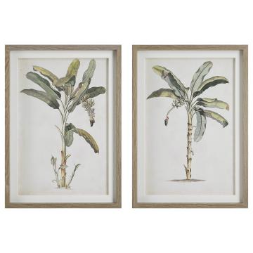  Banana Palm Framed Prints, Set/2