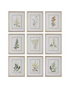 Botanical Flowers Framed Prints, Set of 9