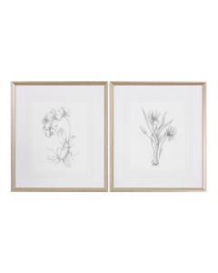  Botanical Sketches Framed Prints S/2