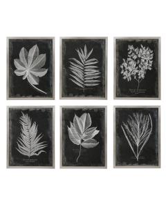  Foliage Framed Prints, S/6