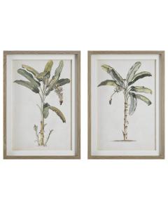  Banana Palm Framed Prints, Set/2