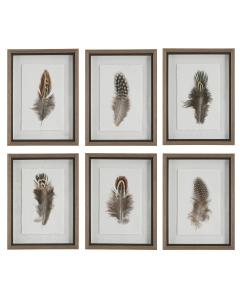  Birds Of A Feather Framed Prints, S/6
